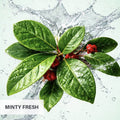 Thumbnail for Minty fresh toothpaste with green leaves and red berries.