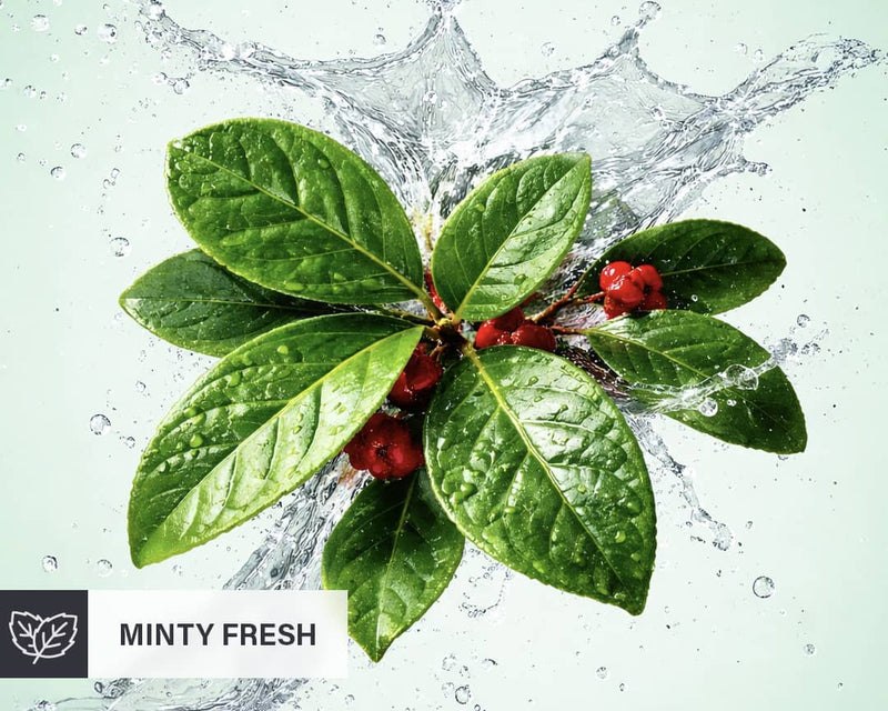 Minty fresh toothpaste with green leaves and red berries.
